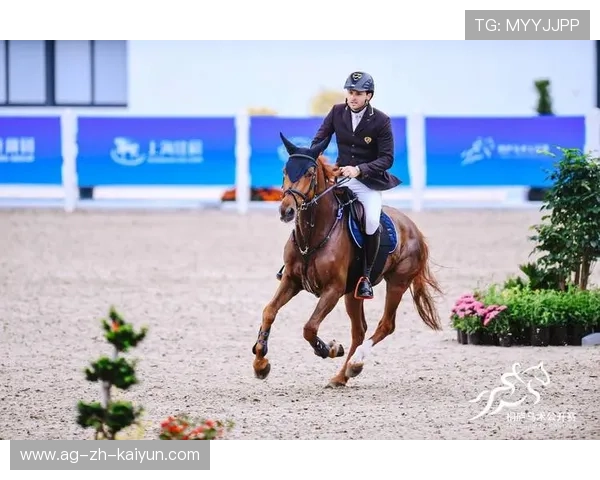 美国马术协会推出马匹健康管理系统，提升马匹福利。，美国马术运动员