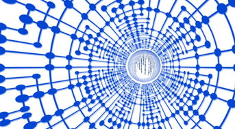 开云体育在线入口-法甲球员恢复期心率波动数据指导训练负荷调整，法甲球员收入