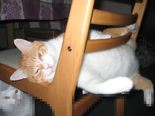 开云体育app在线-西甲球队基于热区重构算法提升后场组织安全性