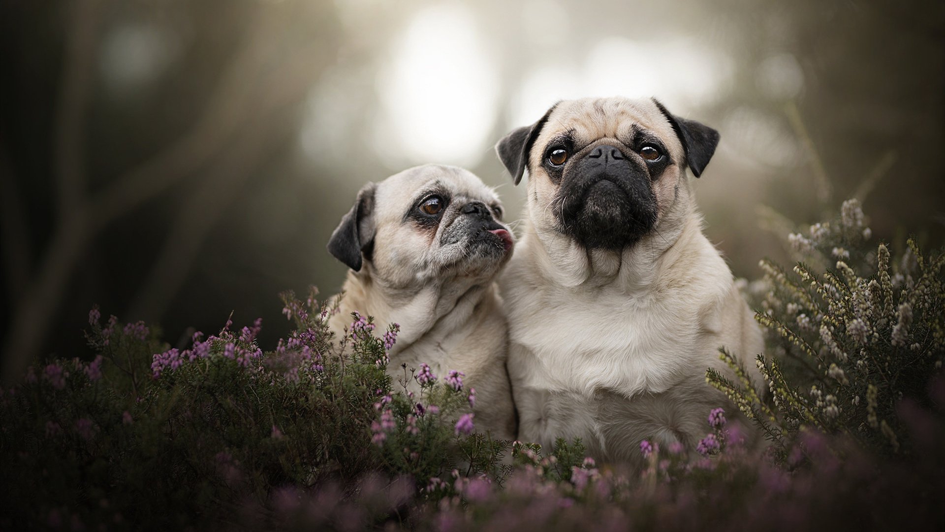 十国选手齐聚兴隆湖，划出国际风采，兴隆湖近况