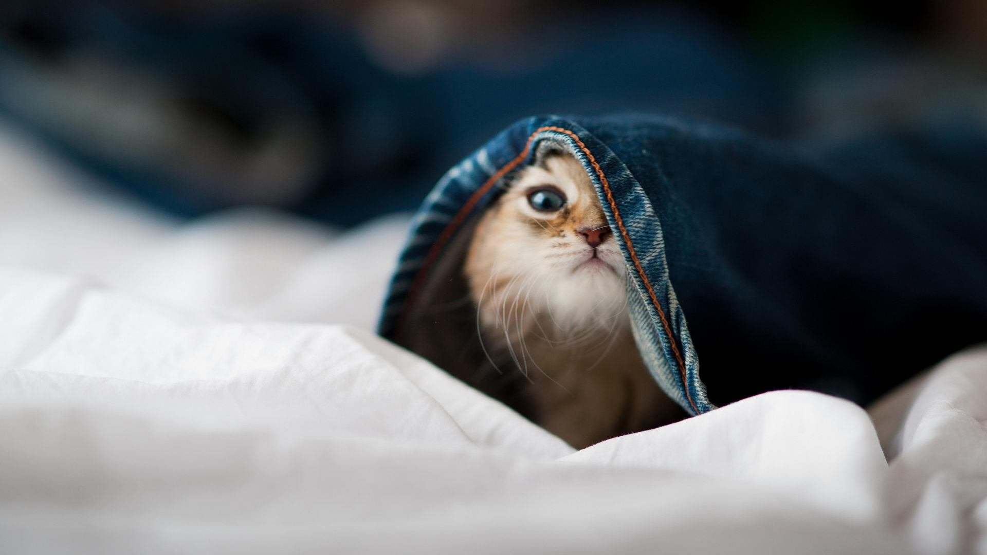 奥萨苏纳攻防均衡发挥稳定，奥萨苏纳竞技俱乐部