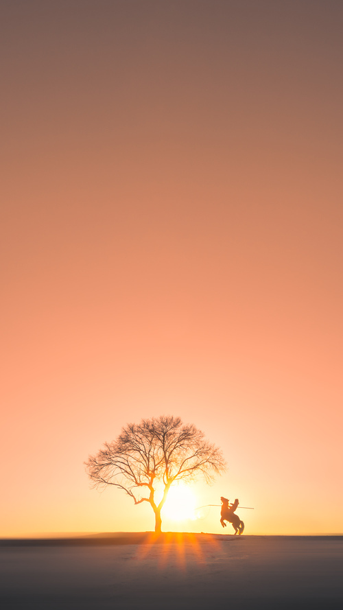 CBA推动球队战术多样性减少过度依赖单一打法，cba方案