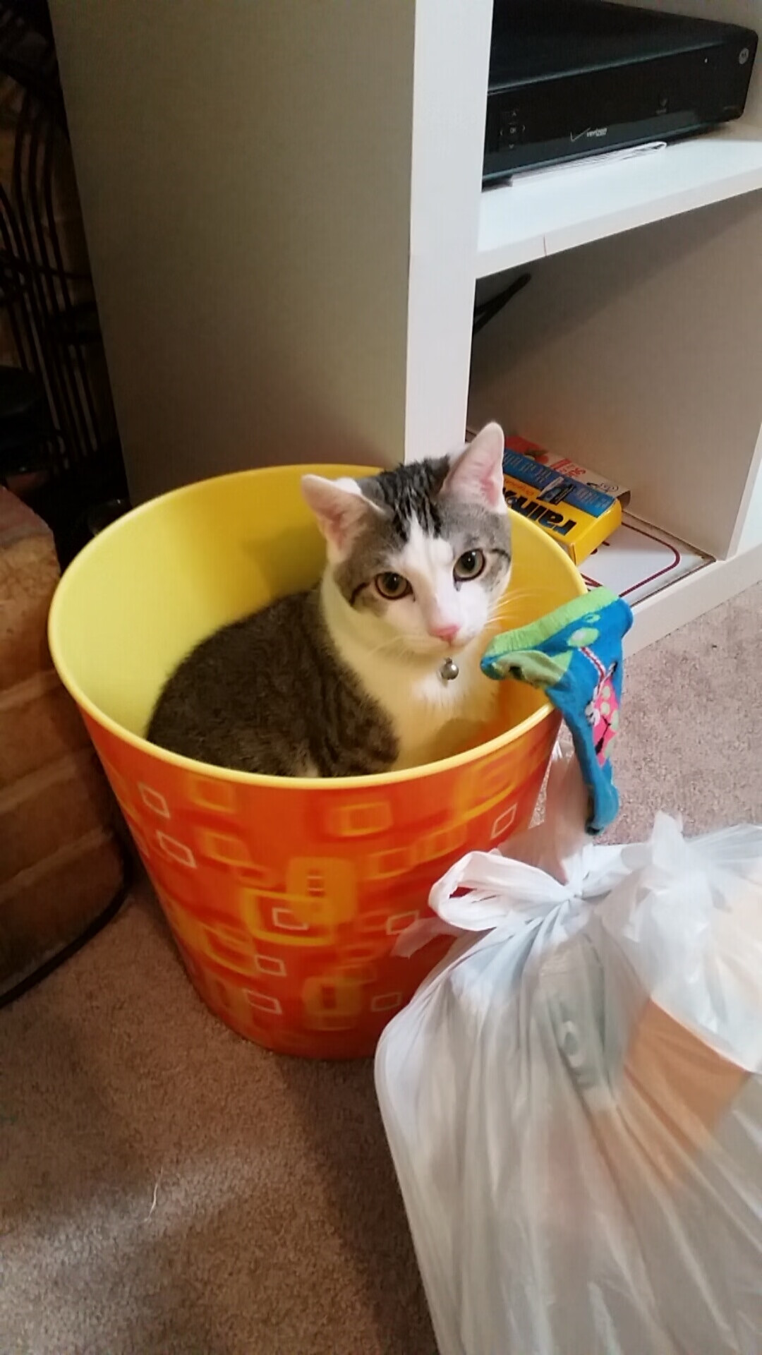 中国篮协明确全国青少年篮球分级管理方案，青少年篮球运动等级标准与测试